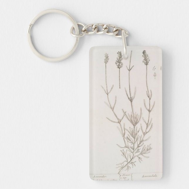 Porte-clefs Porte - clé de dessin botanique de lavande (Devant)