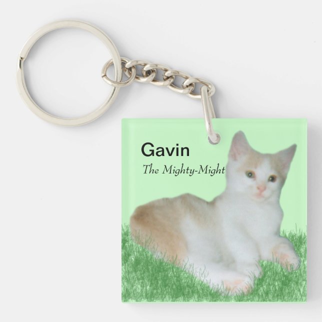 Porte-clefs Porte - clé de Gavin_Cat (Devant)