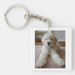 Porte-clefs Porte - clé de Goldendoodle