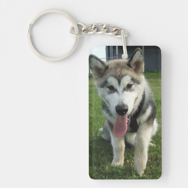 Porte-clefs Porte - clé de sourire de Malamute (Devant)