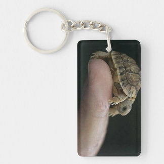 Porte-clefs Porte - clé de tortue