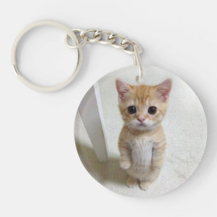 Porte-clefs Porte - clé El Gato Cat Meme
