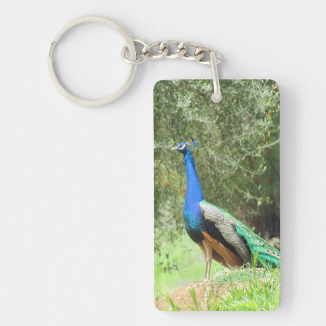Porte-clefs porte - clé - Peacock (Devant)