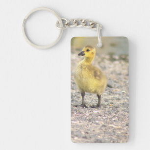 Porte-clefs Porte - clé photo Gosling