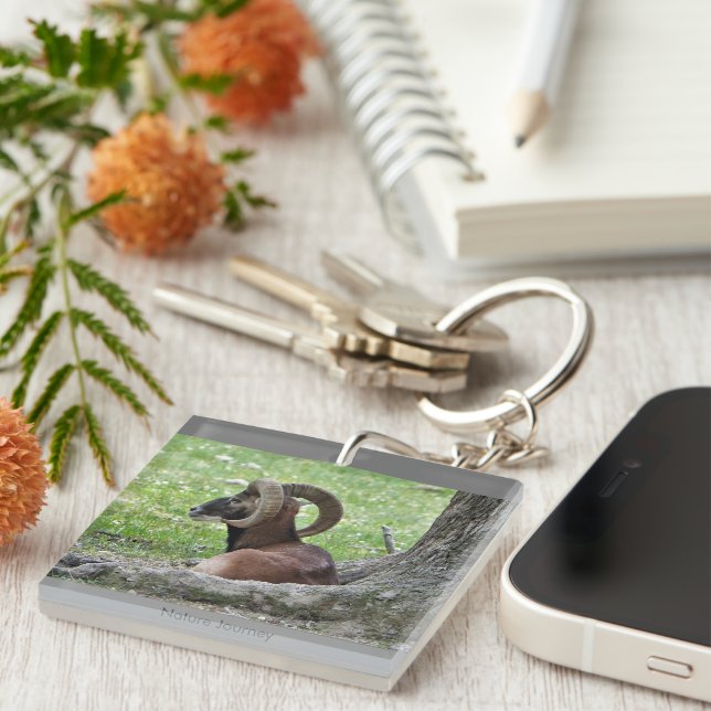 Porte-clefs Porte - clé Ram (Devant Droit)