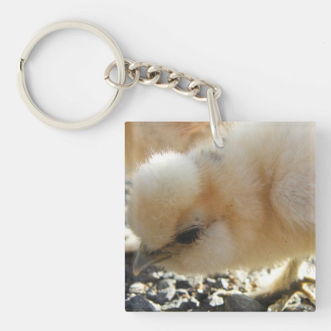 Porte-clefs Porte - clé Silkie Chick (Devant)