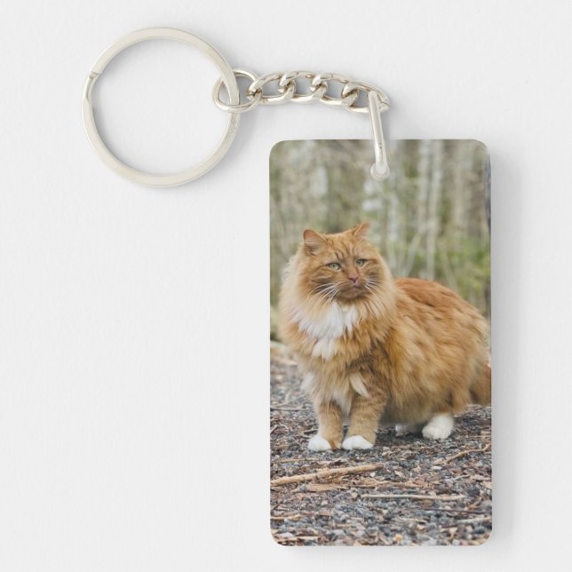 Porte-clefs Porte - clé spécial Kitty Nemo (Devant)