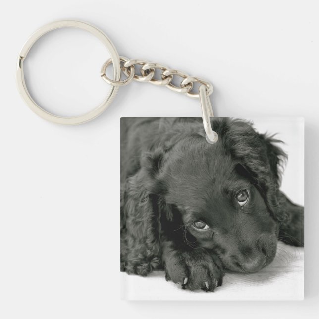 Porte-clefs Porte - clé très mignon d'épagneul (Devant)
