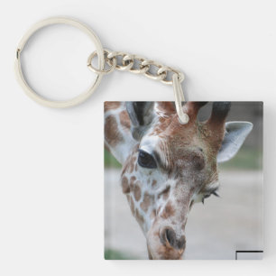 Porte-clefs porte - clés acryliques de porte - clé -