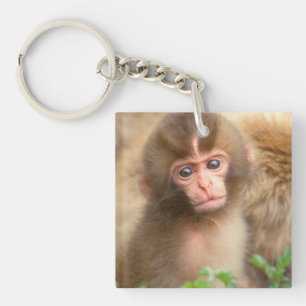 Porte-clefs Portrait de bébé singe des neiges