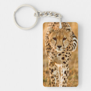 Porte-clefs Portrait de guépard (Acinonyx Jubatus), Maasai