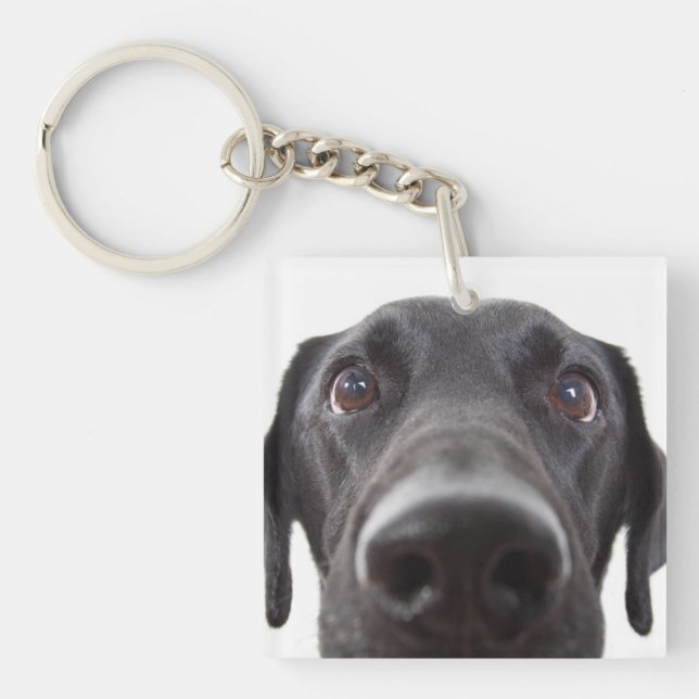 Porte-clefs Portrait de la collection Black Labrador (Devant)