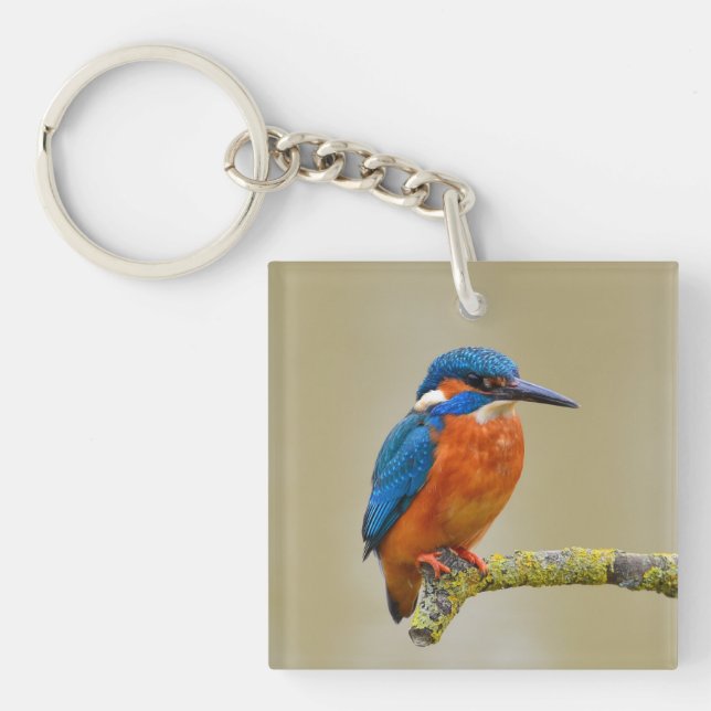 Porte-clefs Portrait de martin-pêcheur (Devant)