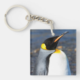 Porte-clefs Portrait de pingouin