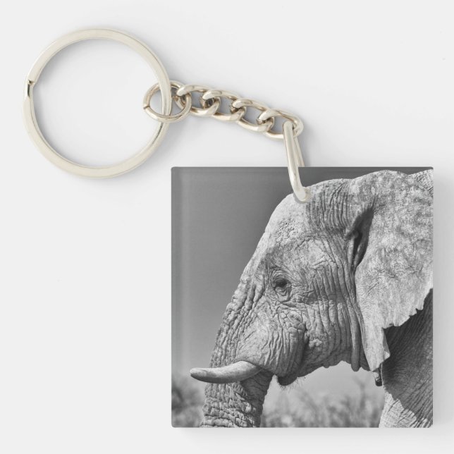 Porte-clefs Portrait d'éléphant (Devant)