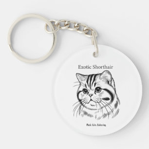 Porte-clefs Portrait d'Exotic Shorthair