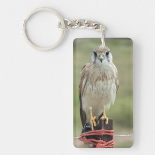 Porte-clefs Portrait d'oiseau Faucon crécerelle de Nankin
