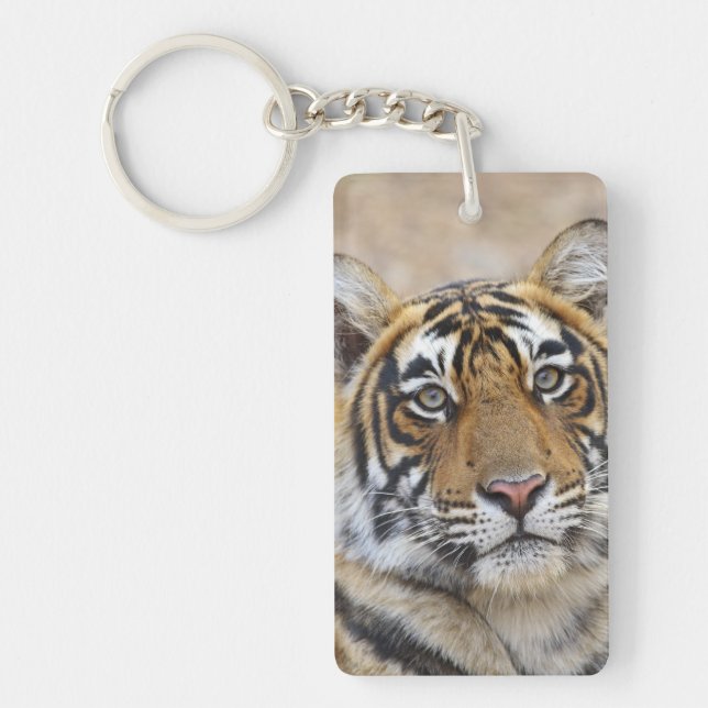 Porte-clefs Portrait du tigre royal du Bengale, Ranthambhor (Devant)