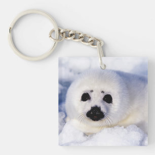 Porte-clefs Portrait d'un bébé phoque à harpe