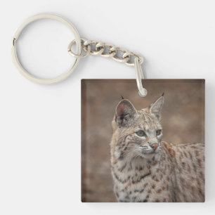 Porte-clefs Portrait d'un Bobcat