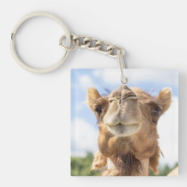Porte-clefs Portrait d'un chameau (Devant)