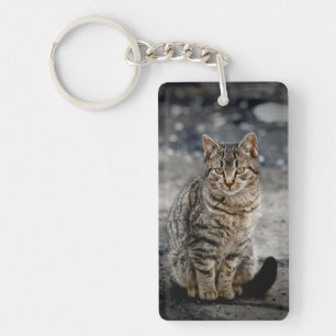 Porte-clefs Portrait d'un chat