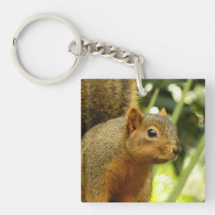 Porte-clefs Portrait d'un écureuil Photographie d'animal de na