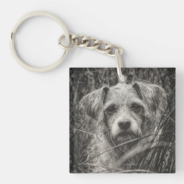 Porte-clefs Portrait noir et blanc mignon et chiot photo (Devant)