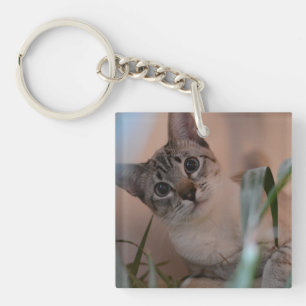 Porte-clefs Portrait photo de chat