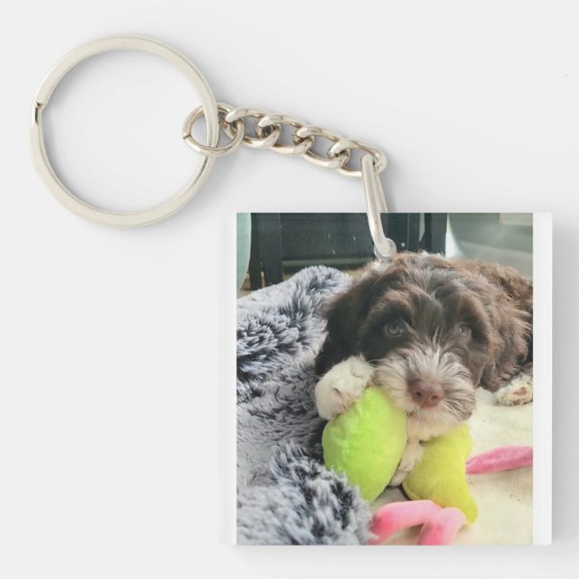 Porte-clefs Portuguese Water Dog Key Chain (Devant)