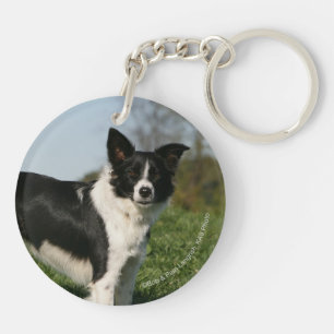 Porte-clefs Position de border collie