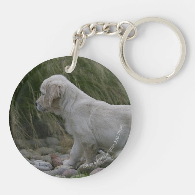 Porte-clefs Position de chiot de golden retriever (Dos)