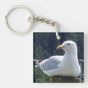 Porte-clefs Poteau de Clôture Mouette Boisland Faune Sérénité