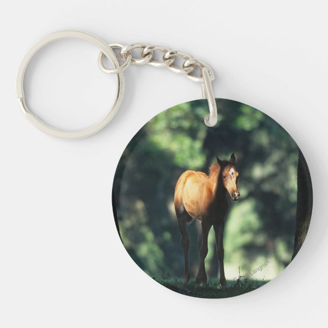 Porte-clefs Poulain arabe dans les arbres (Devant)