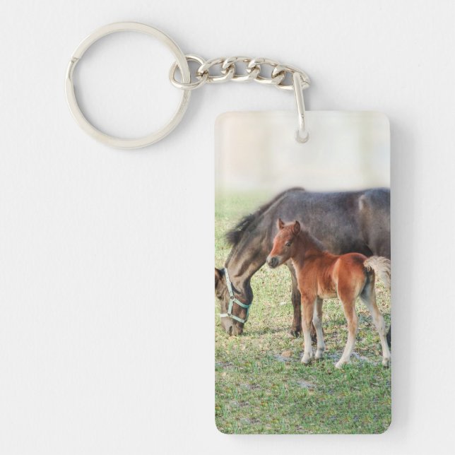 Porte-clefs Poulain miniature de cheval - colt et pouliche (Devant)