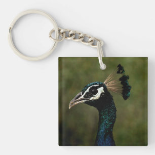 Porte-clefs Profil de Peacock