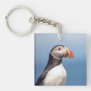 Porte-clefs Puffin Atlantique en Machias, Maine