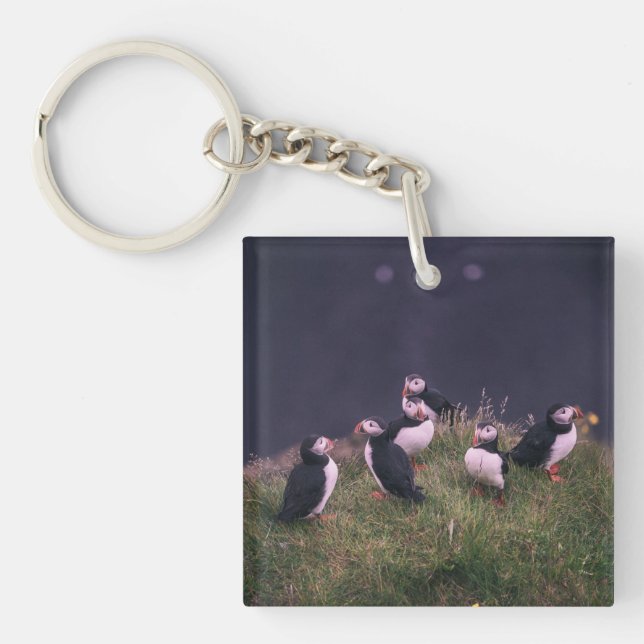 Porte-clefs Puffins de l'Atlantique (Devant)