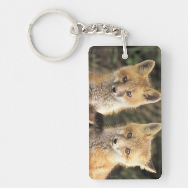 Porte-clefs Pup Red Fox devant den Vulpes vulpes) (Devant)