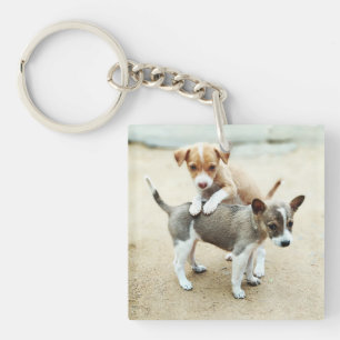 Porte-clefs Puppies mignonnes jouer sur la plage