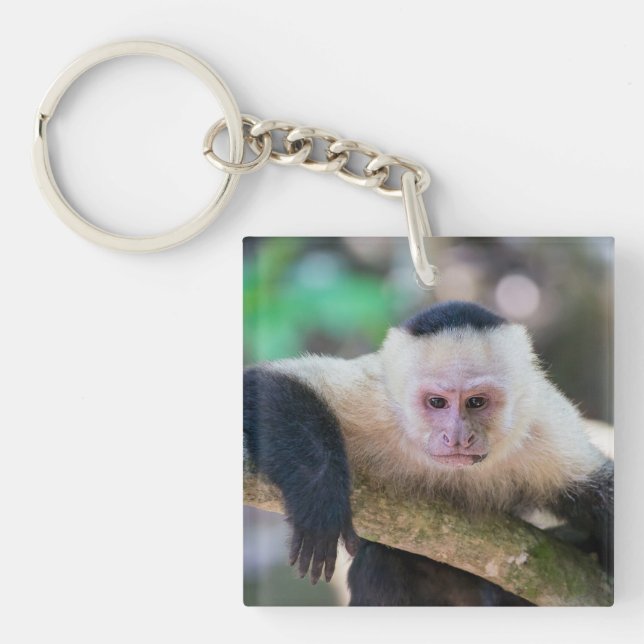 Porte-clefs Pura vida pour singe capucin à visage blanc (Devant)