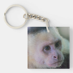 Porte-clefs Pura vida pour singe capucin à visage blanc