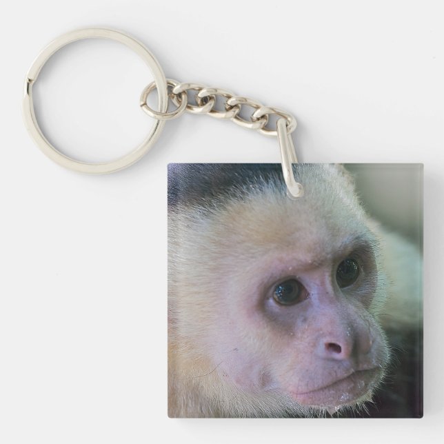 Porte-clefs Pura vida pour singe capucin à visage blanc (Devant)
