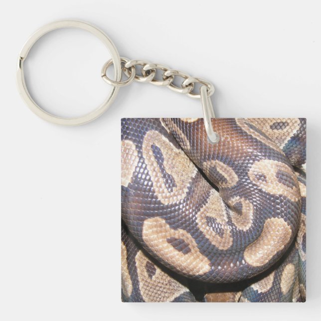 Porte-clefs Pythons de boule (Devant)