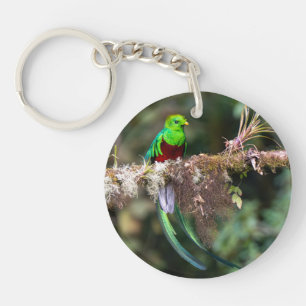 Porte-clefs Quetzal resplendissant dans la forêt nuageuse