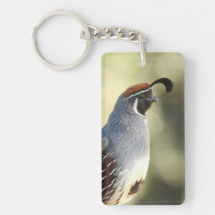 Porte-clefs Queue masculine