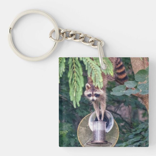 Porte-clefs Raccoon raid l'éleveur d'oiseaux (Devant)