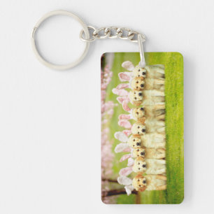 Porte-clefs Rangée de lapins chiots