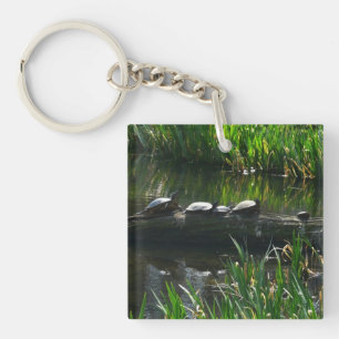 Porte-clefs Rangée de tortues Green Nature Photo