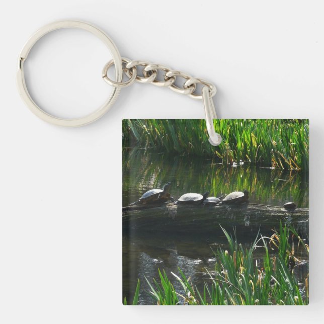 Porte-clefs Rangée de tortues Green Nature Photo (Devant)